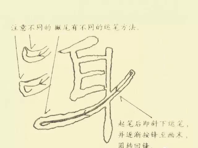 汉隶经典《曹全碑》基本笔画解析