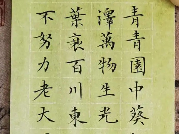 书法素材诗词：长歌行[汉]乐府