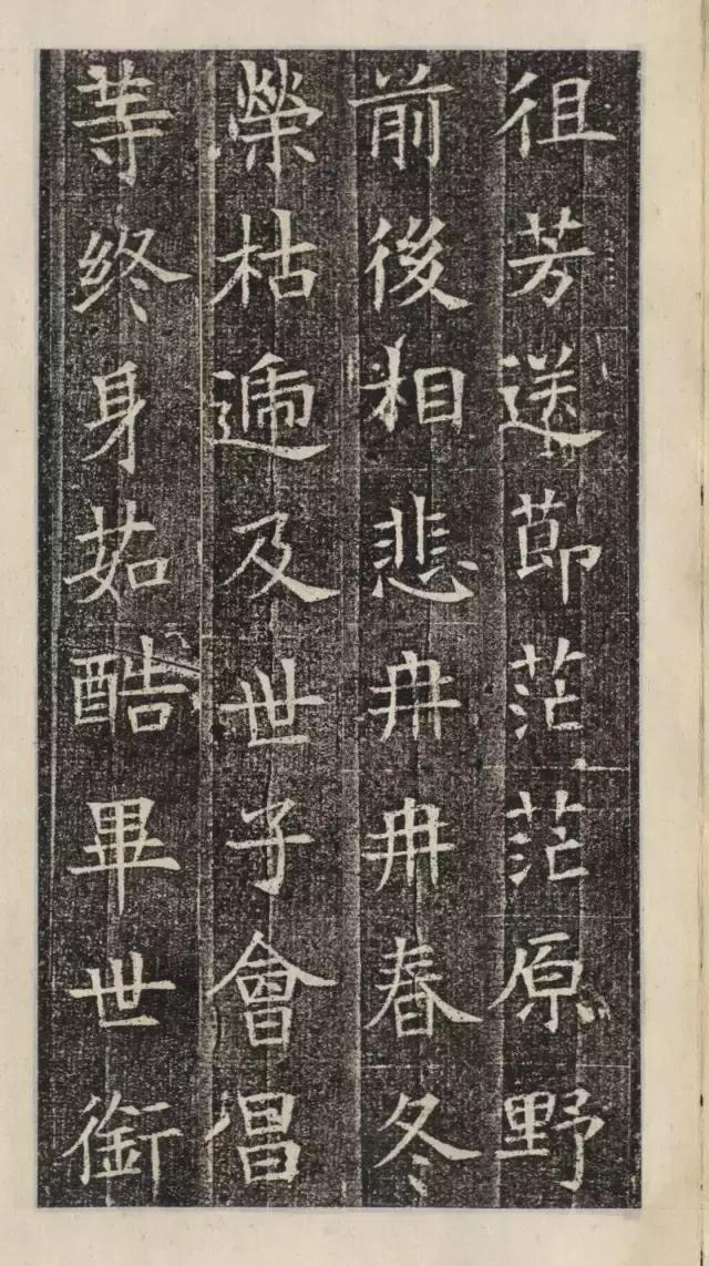 隋代楷书《苏慈墓志》欣赏