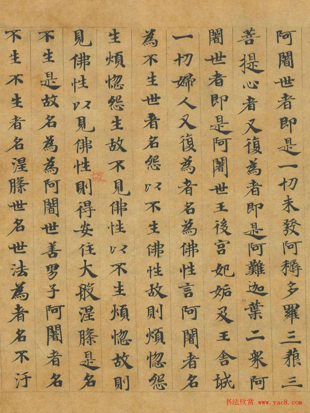 释慧休小楷《大般涅槃经卷》欣赏