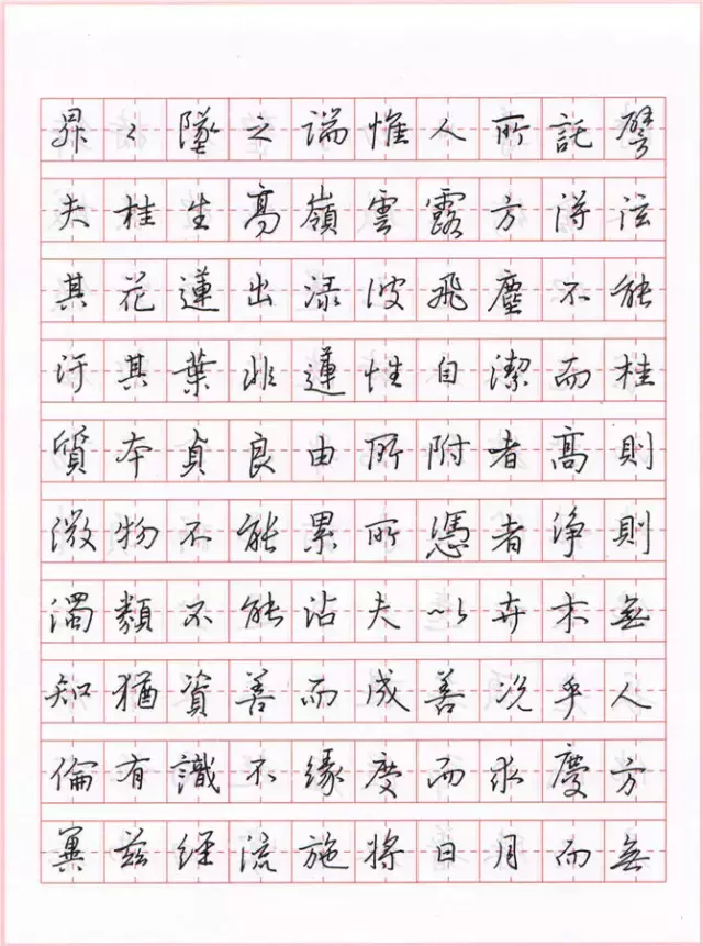 硬笔临王羲之《圣教序》欣赏