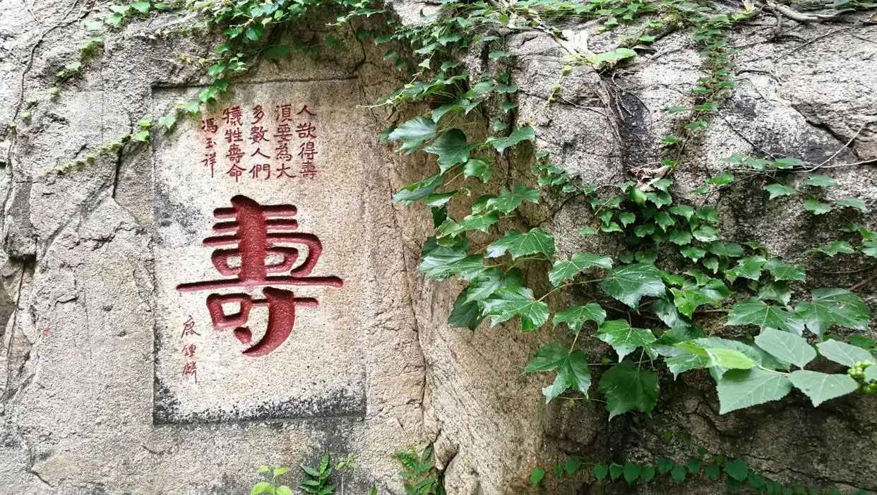 石刻欣赏:山东泰安泰山烈士祠“寿”字题刻
