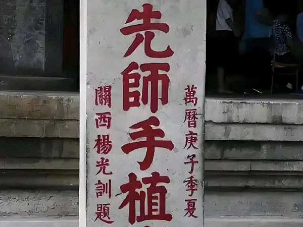 石碑欣赏：山东曲阜孔庙大成门“先师手植桧”