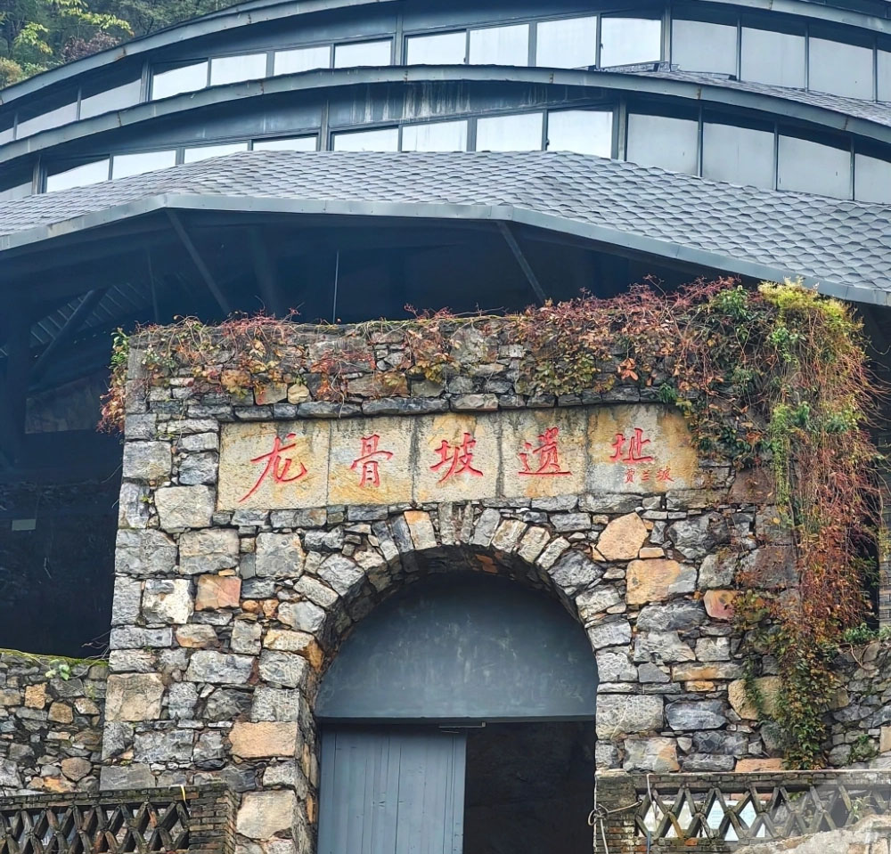 石刻欣赏:重庆巫山庙宇镇龙骨坡“龙骨坡遗址”