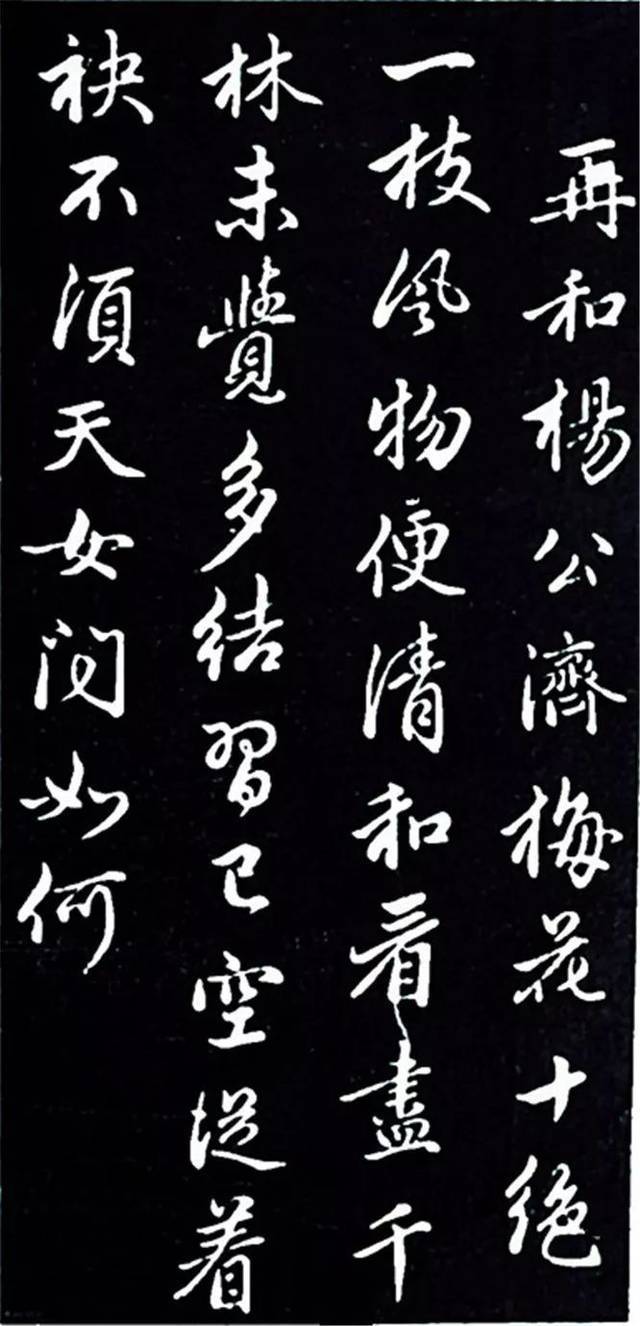 赵孟頫行书《再和杨公济梅花十绝》欣赏