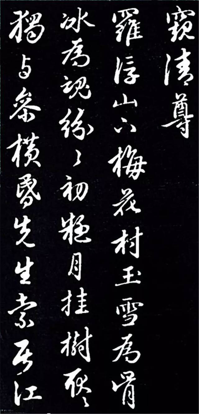 赵孟頫行书《再和杨公济梅花十绝》欣赏
