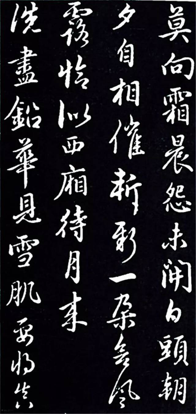 赵孟頫行书《再和杨公济梅花十绝》欣赏