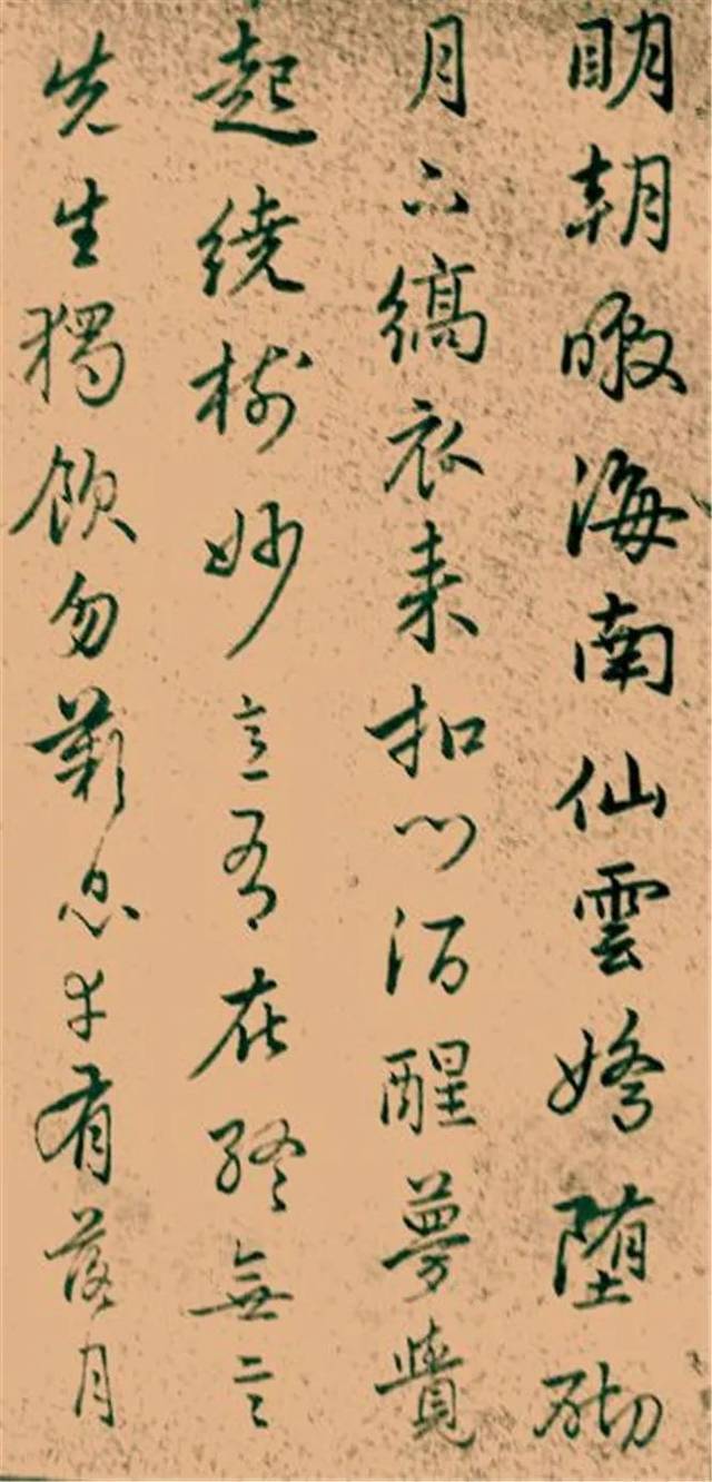 赵孟頫行书《再和杨公济梅花十绝》欣赏