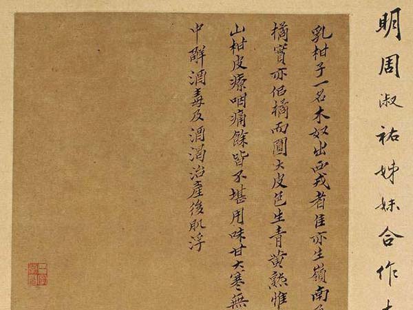 周淑禧周淑祜两姐妹小楷《本草图》四条屏欣赏