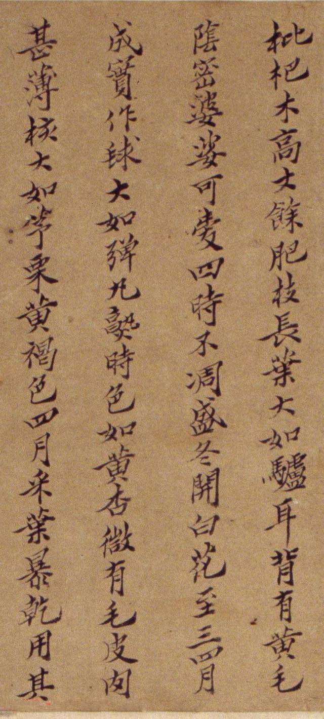 周淑禧周淑祜两姐妹小楷《本草图》四条屏欣赏